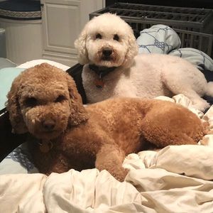 Meet your Posher, Helen